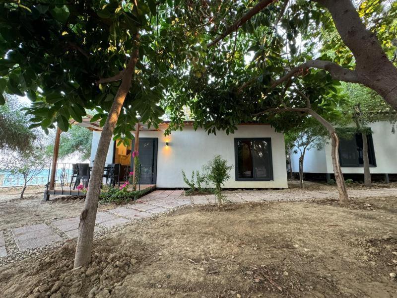 Otelox Ayas Beach Bungalov Erdemli 外观 照片